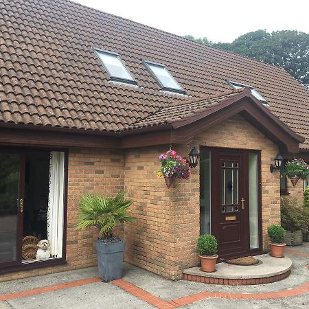 The Firs - Englefied Studio Bed & Breakfast Douglas Ngoại thất bức ảnh