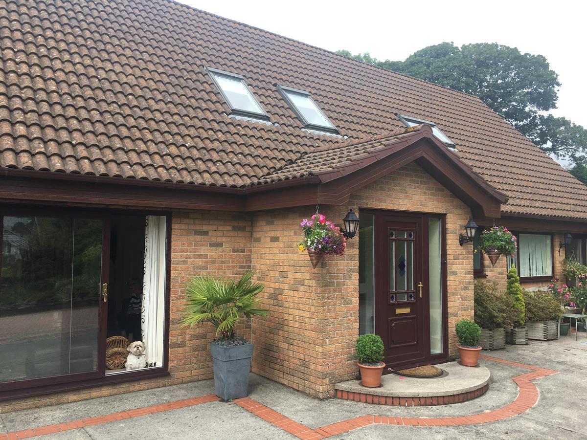 The Firs - Englefied Studio Bed & Breakfast Douglas Ngoại thất bức ảnh